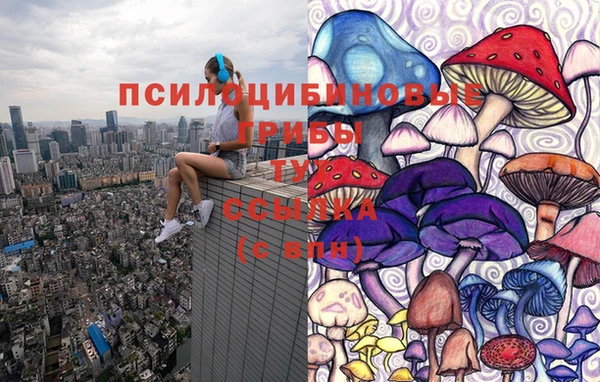 2c-b Горнозаводск