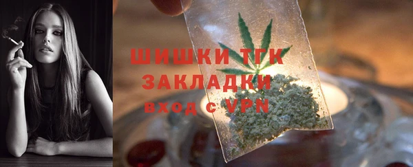 сатива Заволжье