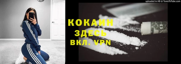 2c-b Горнозаводск