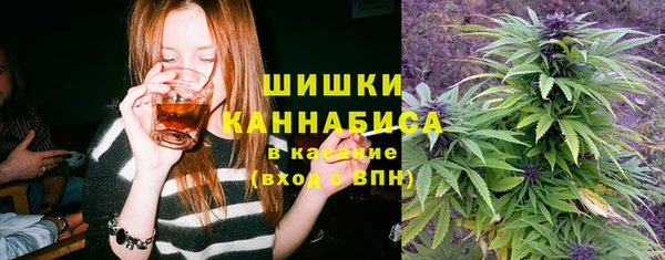 дурь Ельня